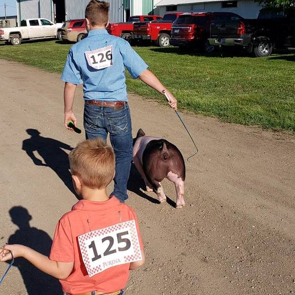 Meet your Posher, Tayton - Picture 1 of 1